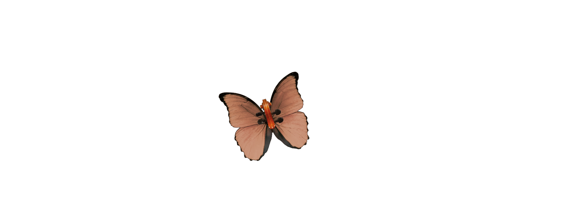 Festival delle Musiche